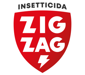 Zig Zag